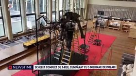 Schelet complet de T-REX, cumpărat cu 5 milioane de dolari